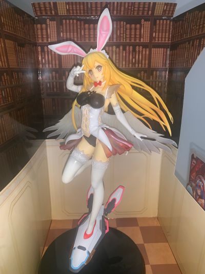 某科学的超电磁炮(Railgun) 食蜂操祈