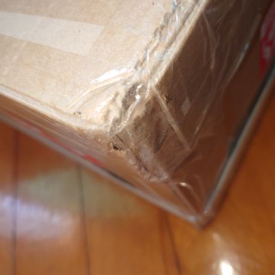 肉感少女 红宝石情人节 明润眼