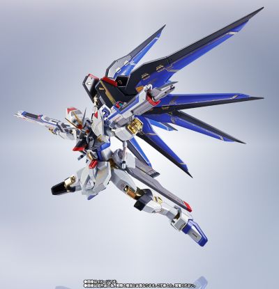 METAL ROBOT魂＜机动战士系列＞  强袭自由高达  SEED20周年纪念版