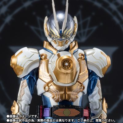 S.H.Figuarts 假面骑士谛睨