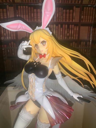 某科学的超电磁炮(Railgun) 食蜂操祈