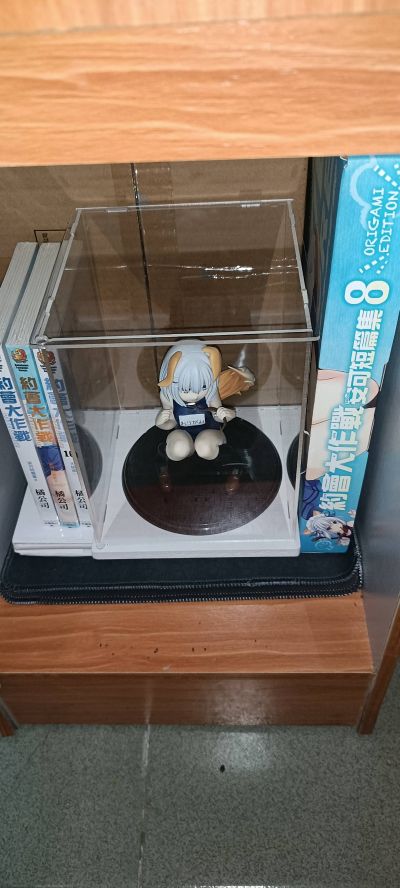 约会大作战 第二季 鸢一折纸 学校泳装小狗