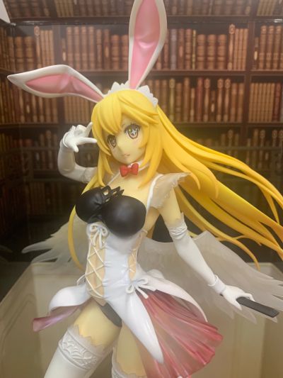 某科学的超电磁炮(Railgun) 食蜂操祈