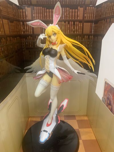 某科学的超电磁炮(Railgun) 食蜂操祈