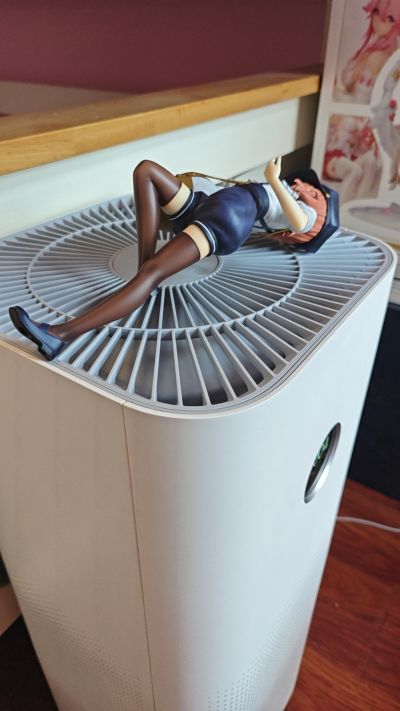 请问您今天要来点兔子吗？BLOOM 保登心爱 鲜花配送