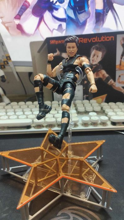 S.H.Figuarts T.M.Revolution