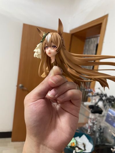 赛马娘 里见光钻