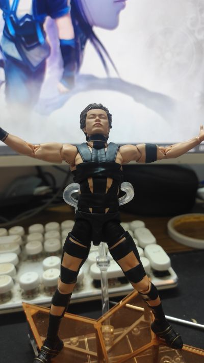 S.H.Figuarts T.M.Revolution