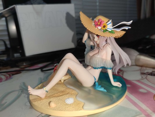 战舰少女R 长春 海花盛开星夜灿烂