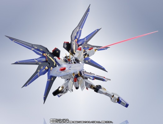 METAL ROBOT魂＜机动战士系列＞  强袭自由高达  SEED20周年纪念版