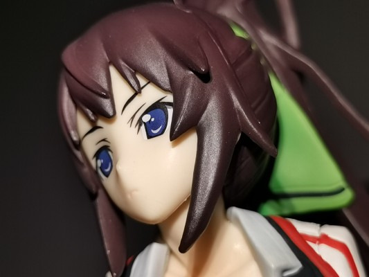 Staind 第２弾 IS〈无限斯特拉托斯〉 筱之之帚