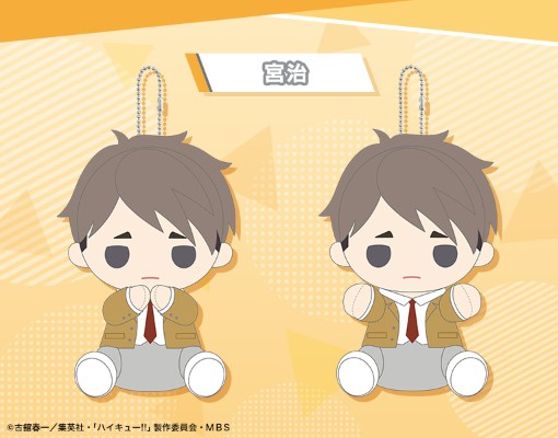 贴心玩偶 排球少年!! 日向翔阳、影山飞雄、月岛萤、及川彻、岩泉一、黑尾铁朗、孤爪研磨、木兔光太郎、赤苇京治、宫侑、宫治、北信介