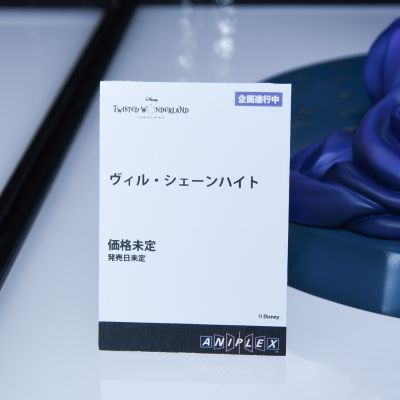 迪士尼 扭曲仙境 Vil Schoenheit