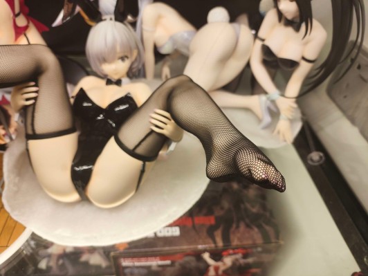 佐绍魁寻 兔女郎