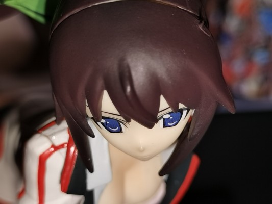 Staind 第２弾 IS〈无限斯特拉托斯〉 筱之之帚