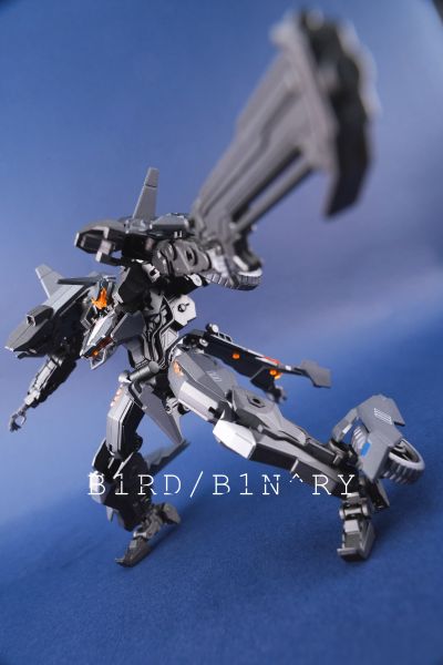 异鸟代码 金色乌鸦 重晴鸟