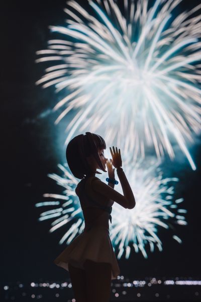 创彩少女庭园 小鸟游历 泳装版