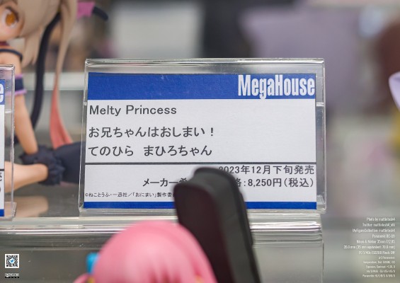 Melty Princess 别当哥哥了！ 掌中真寻