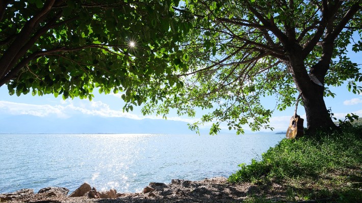 习得文武艺，不与帝王家