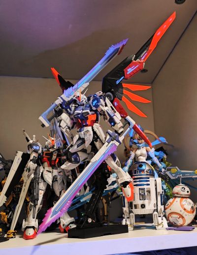 RG 1/144  命运脉冲高达