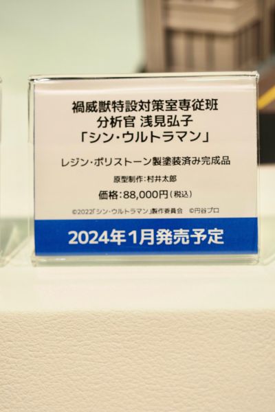 新·奥特曼 祸特对专属班 分析员 浅见弘子