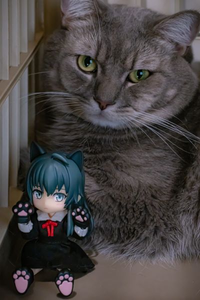 粘土娃: 服装套组 秀知院学园校服：女生