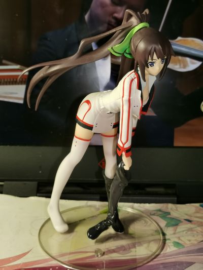 Staind 第２弾 IS〈无限斯特拉托斯〉 筱之之帚