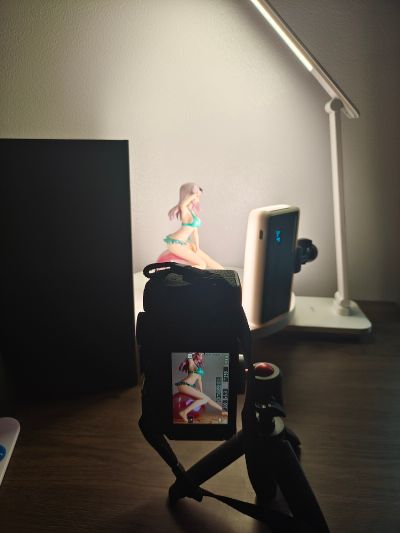 辉夜大小姐想让我告白～天才们的恋爱头脑战～ 藤原千花 泳装版