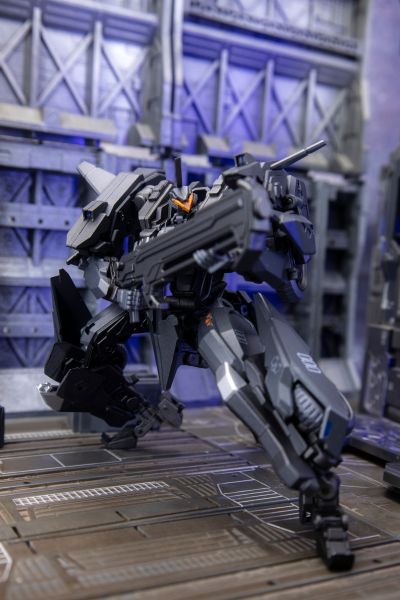 异鸟代码 金色乌鸦 重晴鸟