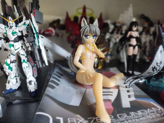 我的狐仙女友 -真夏の大謝肉祭- ちずる＆望 ランジェリーパーティー 宮泽模型限定版 