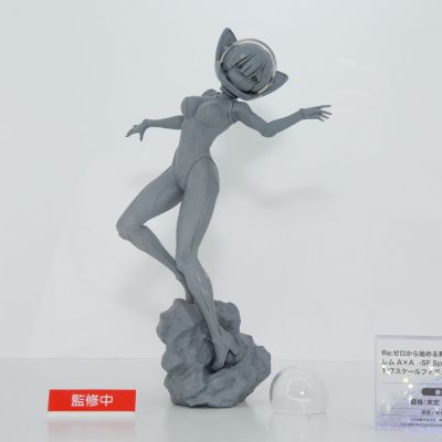 Re：从零开始的异世界生活 雷姆 A×A -科幻航天服-