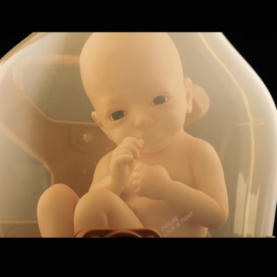 死亡搁浅 育婴仓 “赞”