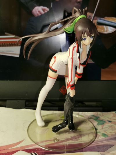 Staind 第２弾 IS〈无限斯特拉托斯〉 筱之之帚