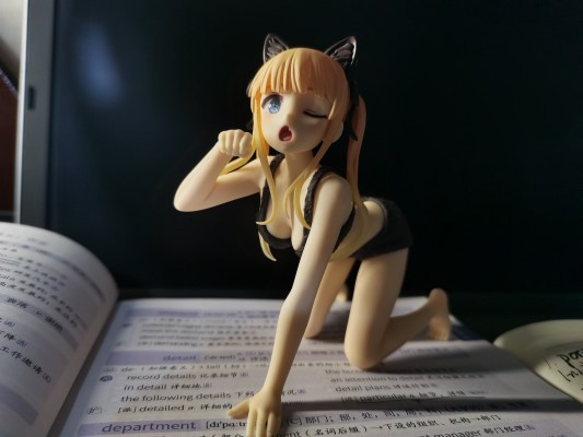 Coreful 路人女主的养成方法Fine  泽村·斯潘塞·英梨梨 ~猫咪居家服~