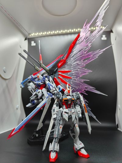 RG  命运脉冲高达