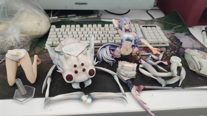 KDcolle 转生成蜘蛛又怎样 原作版 白织