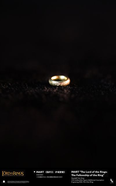 指环王 甘道夫（灰袍） 收藏级可动人偶