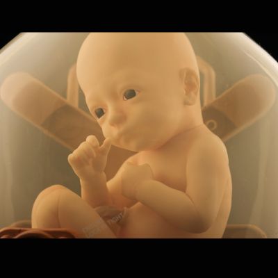 死亡搁浅 育婴仓 “赞”