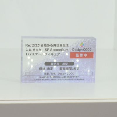 Re：从零开始的异世界生活 雷姆 A×A -科幻航天服-