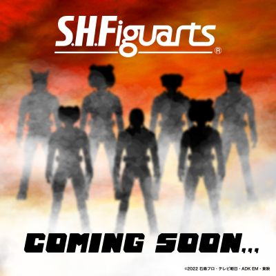 S.H.Figuarts  愿望大奖赛 登录形态套装