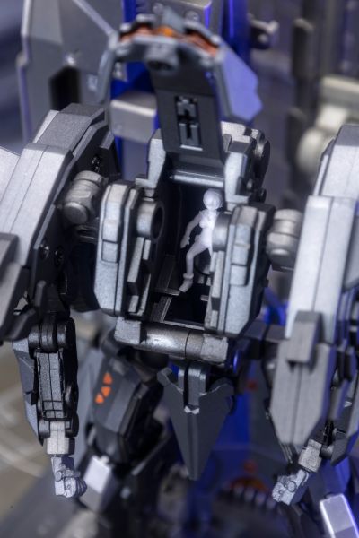 异鸟代码 金色乌鸦 重晴鸟