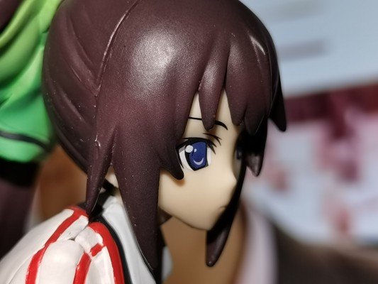 Staind 第２弾 IS〈无限斯特拉托斯〉 筱之之帚