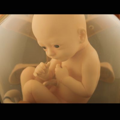 死亡搁浅 育婴仓 “赞”