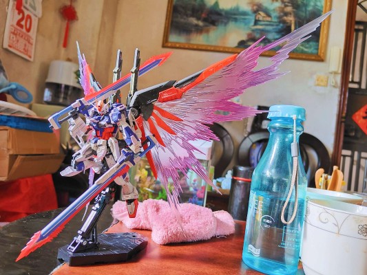 RG 1/144  命运脉冲高达