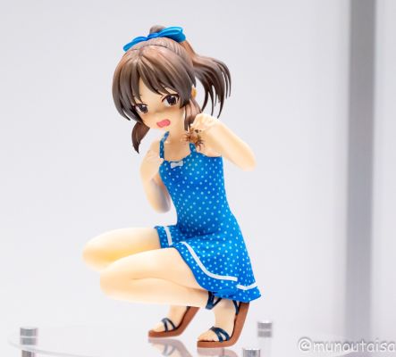 偶像大师灰姑娘女孩 橘爱丽丝 夏恋