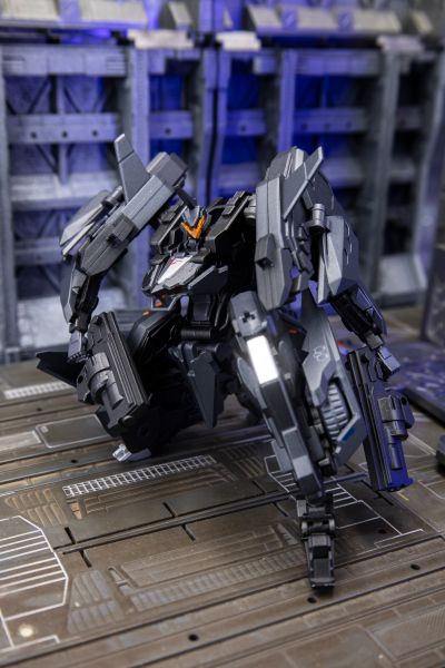 异鸟代码 金色乌鸦 重晴鸟