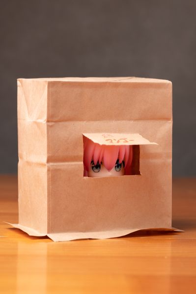 粘土人#2069 后藤独