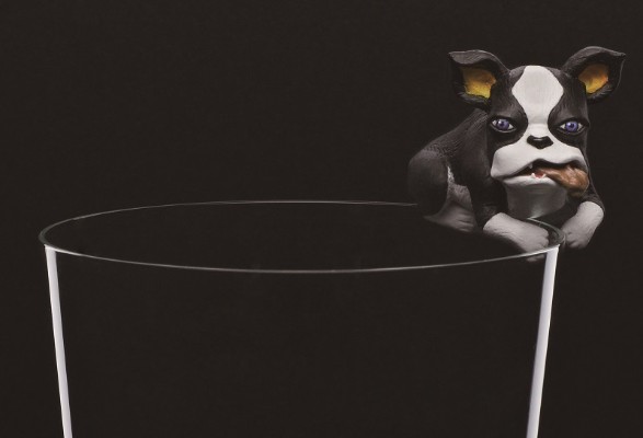 JOJO的奇妙冒险 第三部 星尘斗士 愚者×伊奇