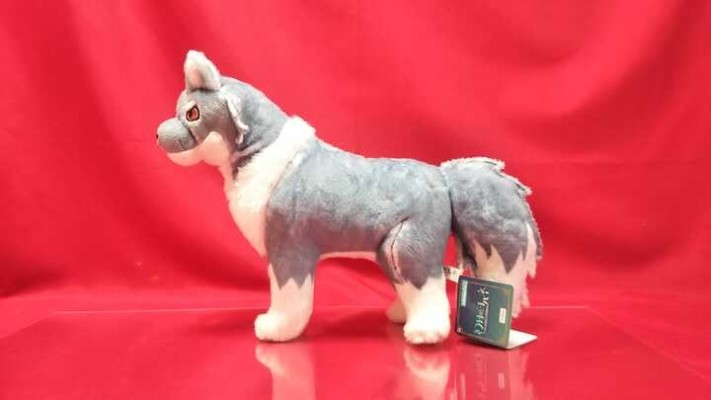 Luminasta 幻日夜羽 夜羽