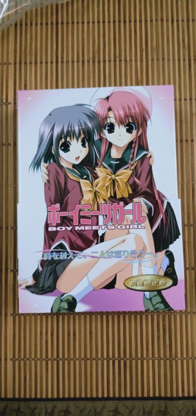 Boy Meets Girl 真行寺真央